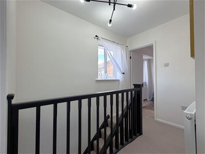Picture 13